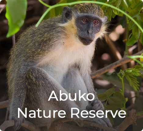 Het Abuko Nature Reserve in Gambia
