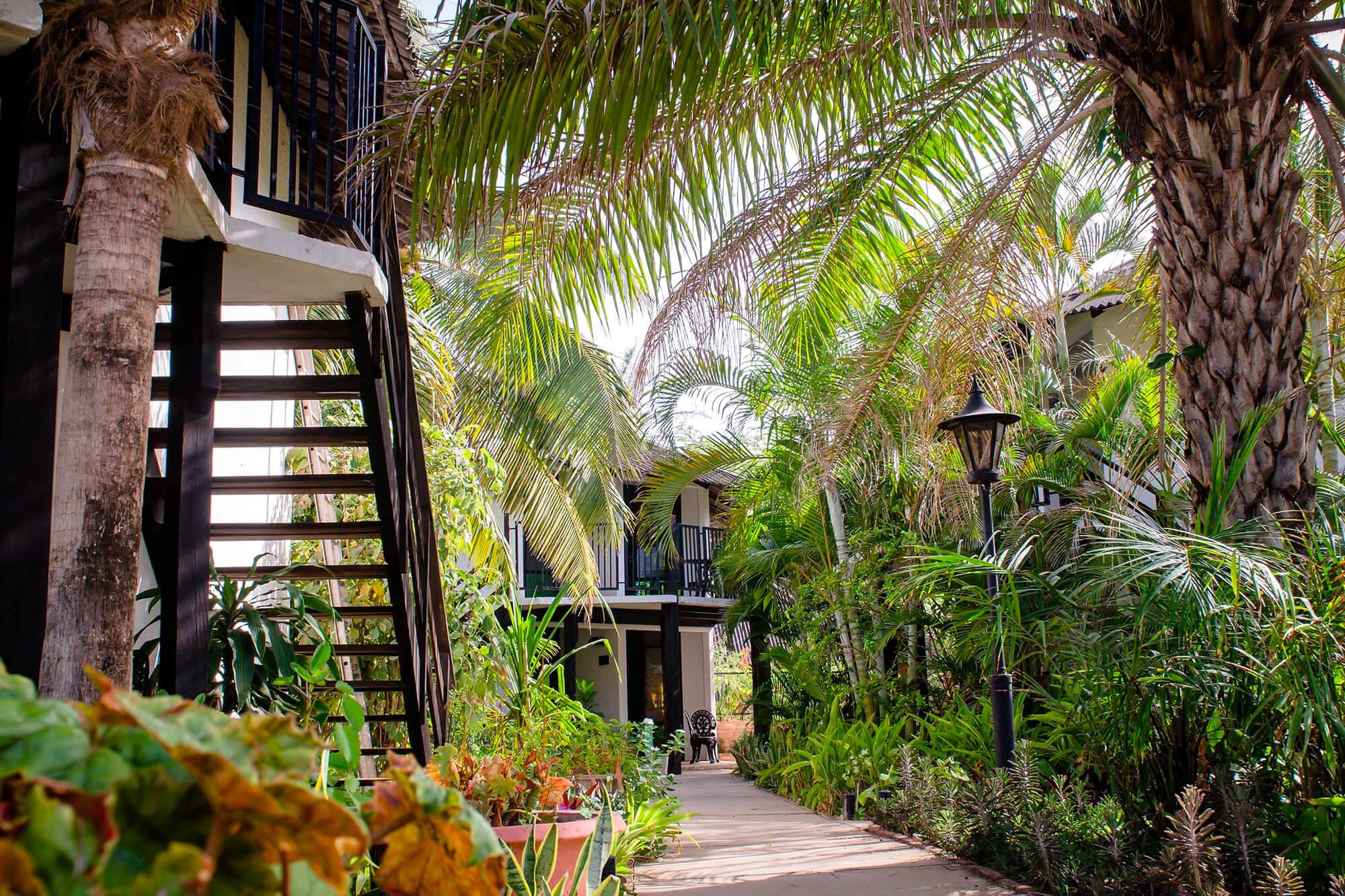 Accommodaties tussen de palmbomen bij het Bakotu hotel in Gambia