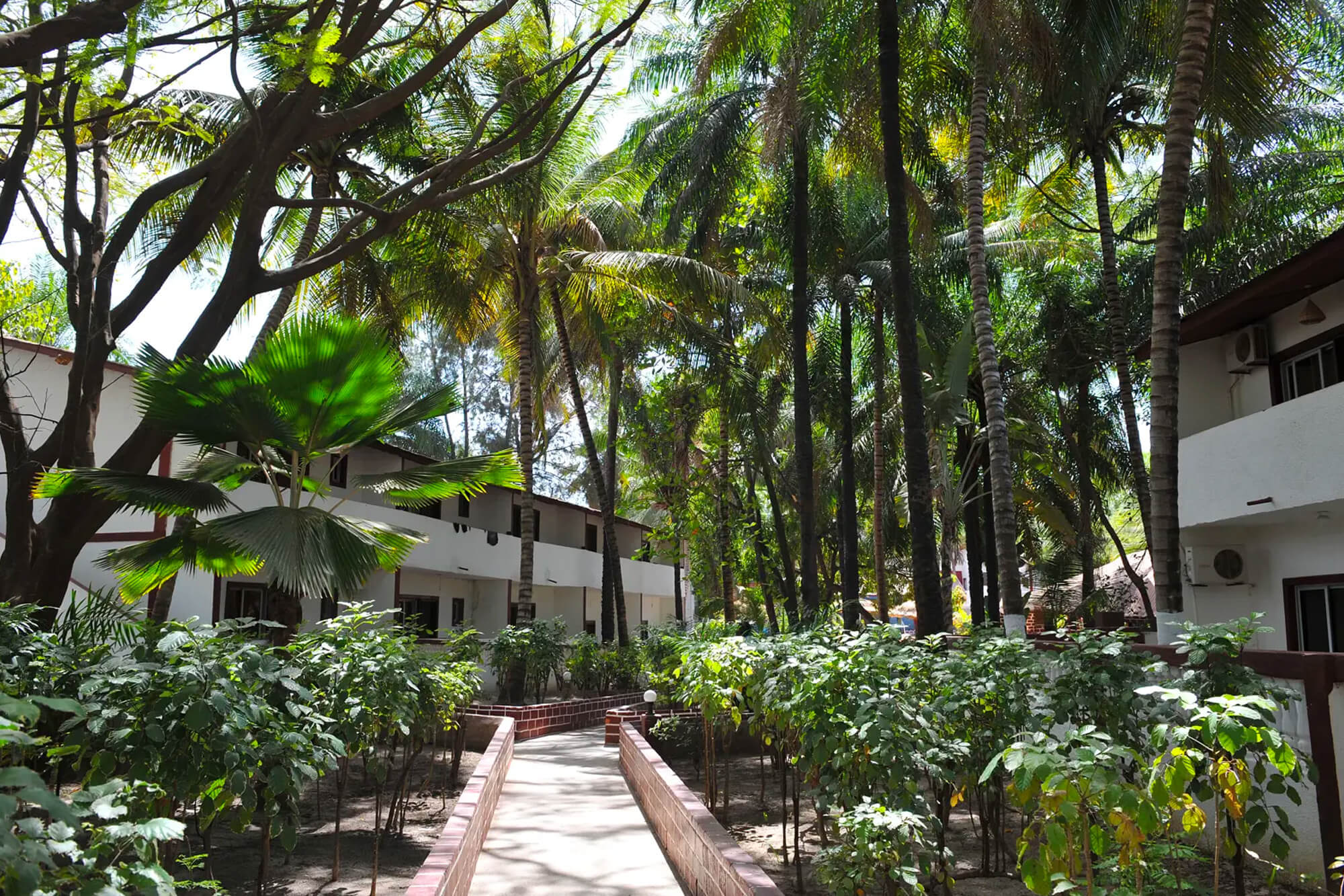 Tuin en accommodaties van het Badala park hotel en resort in Gambia