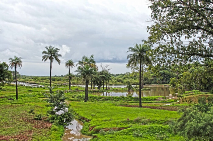 8-daagse rondreis Het échte Gambia