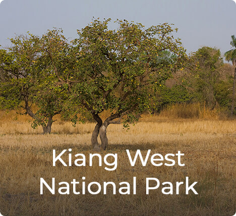 Het Kiang West National Park in Gambia