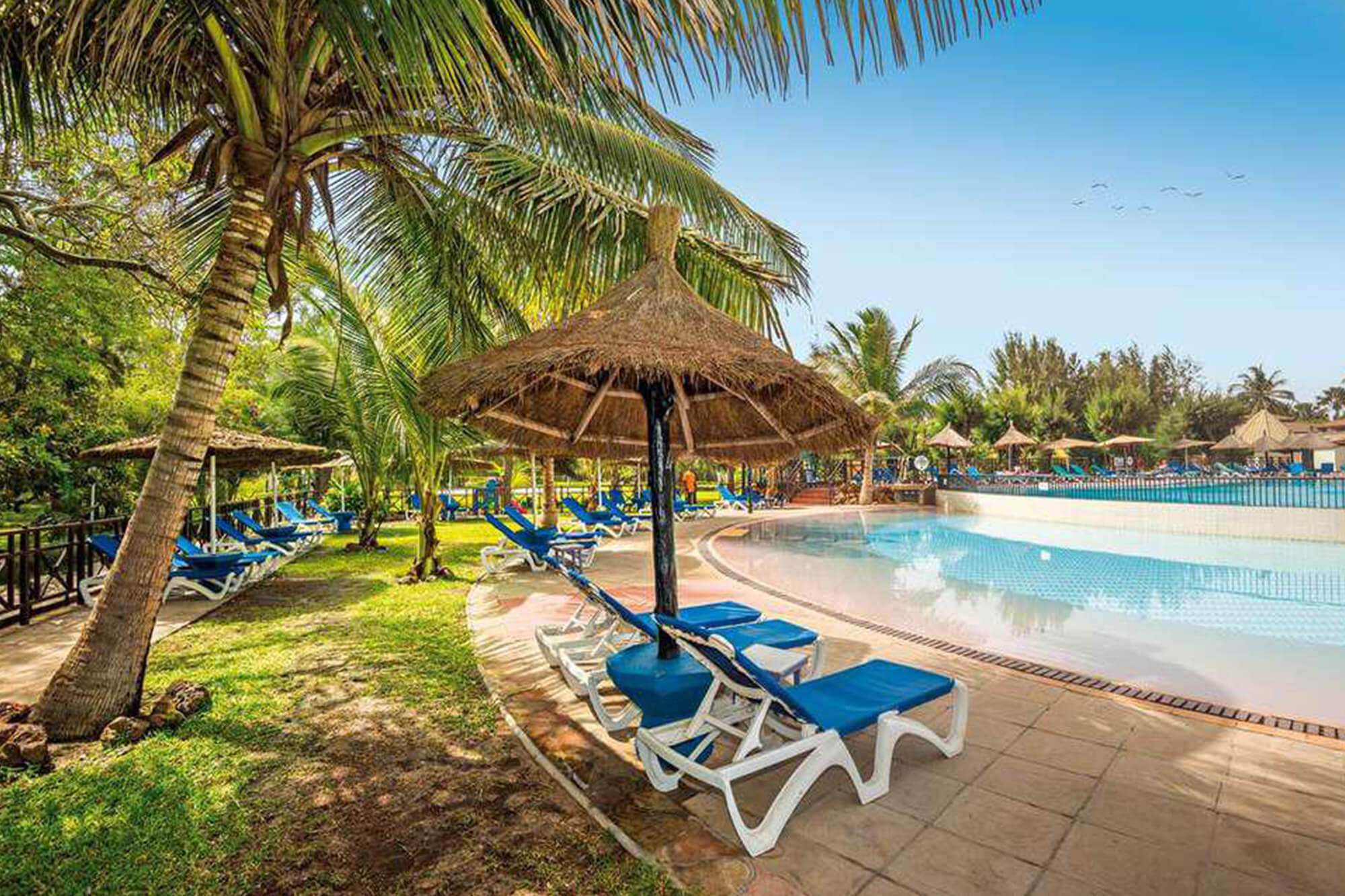 Ligbedjes aan het zwembad van het Senegambia hotel in Gambia