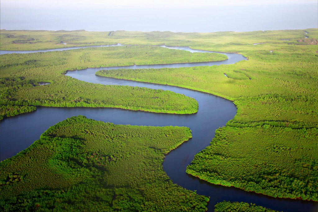Een luchtfoto van de Gambia rivier in Gambia, met uitzicht op de mangrovebossen.
